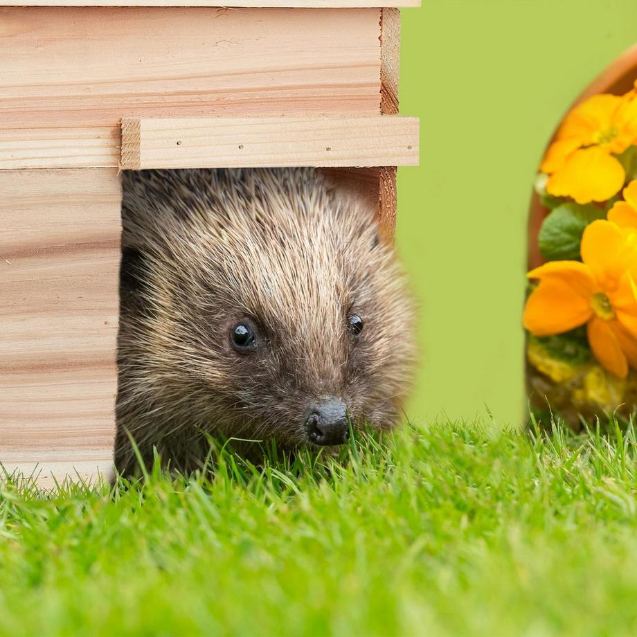 B2X  Igelhaus mit Boden 