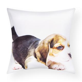 Avizar Set 2 copricuscini Beagle Dog Design  