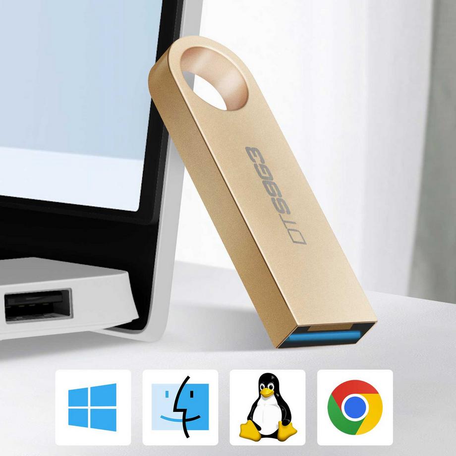 Kingston  Kingston DataTraveler 64GB USB-Stick 