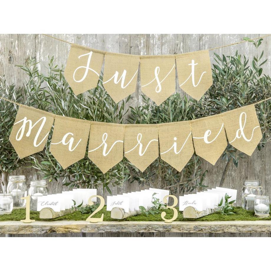 PartyDeco  Girlande Just Married 
