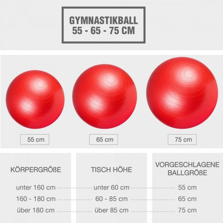 Gorilla Sports  SWISS BALL | BALLON DE GYM | DIAM 55 CM | COLORIS AU CHOIX 