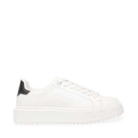 STEVE MADDEN  baskets catcher 