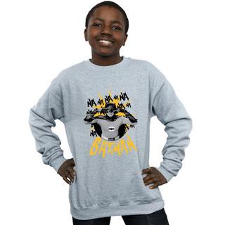 DC COMICS  Nananana Sweatshirt 