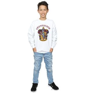 Harry Potter  Sweatshirt 