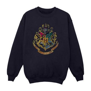 Harry Potter  Sweatshirt 