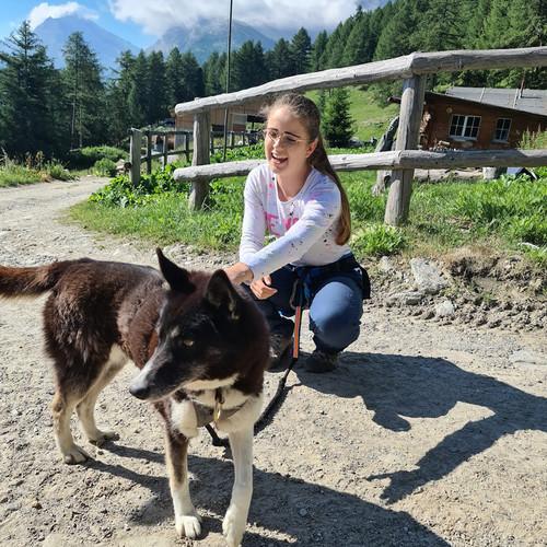 Image of Huskytrekking Um Den Stausee Mattmark Inkl. Gipfeli Und Kaffee (für 1 Kind) Unisex