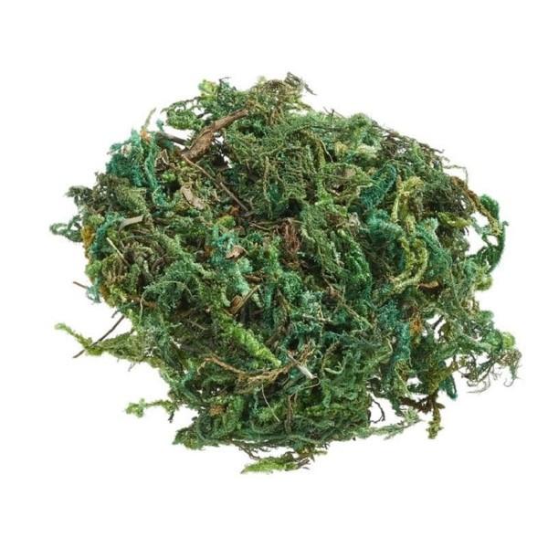 Image of Hobbyfun 3865355 Zubehör Für Mal- & Bastel-set Für Kinder Unisex Grün ONE SIZE