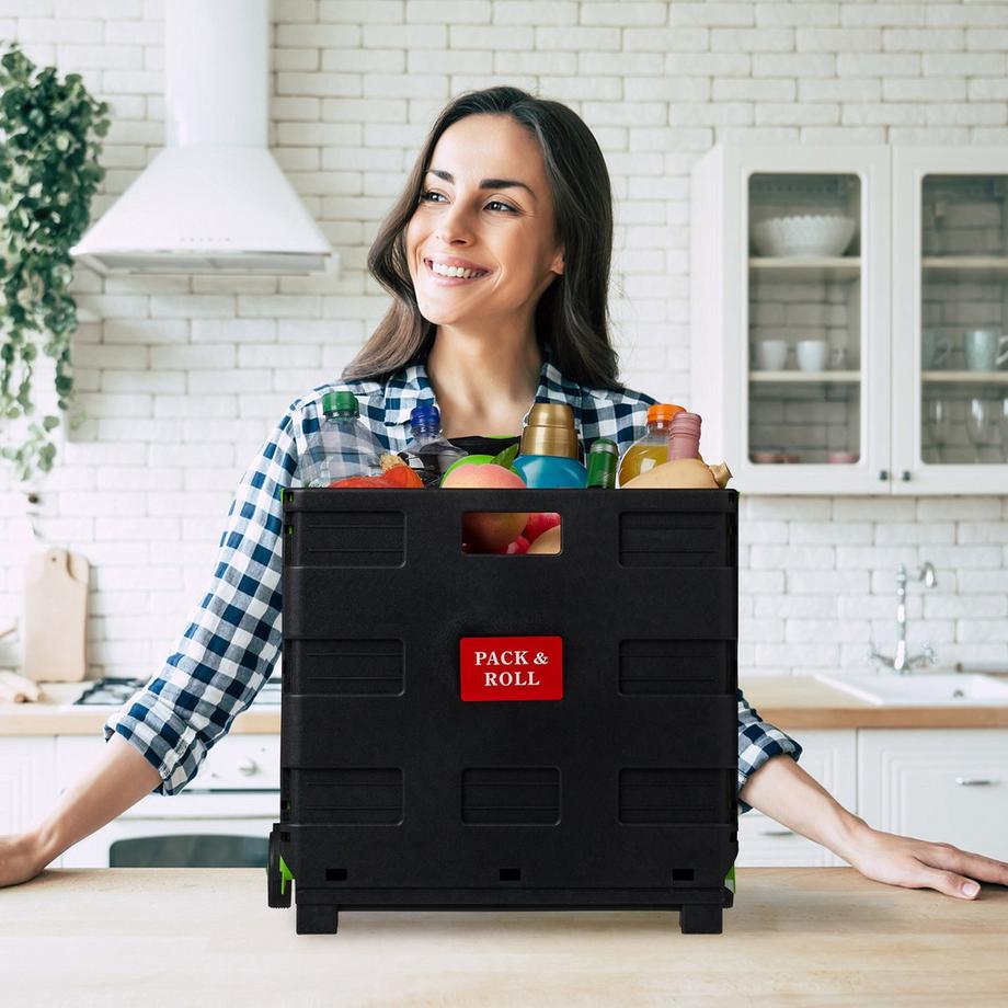 B2X  Carrello della spesa pieghevole 