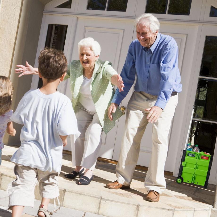 B2X  Carrello della spesa pieghevole 