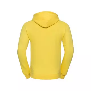 Russell Color Pullover  Gelb