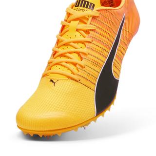 PUMA  chaussures d'athlétisme teamwear evospeed future 6 