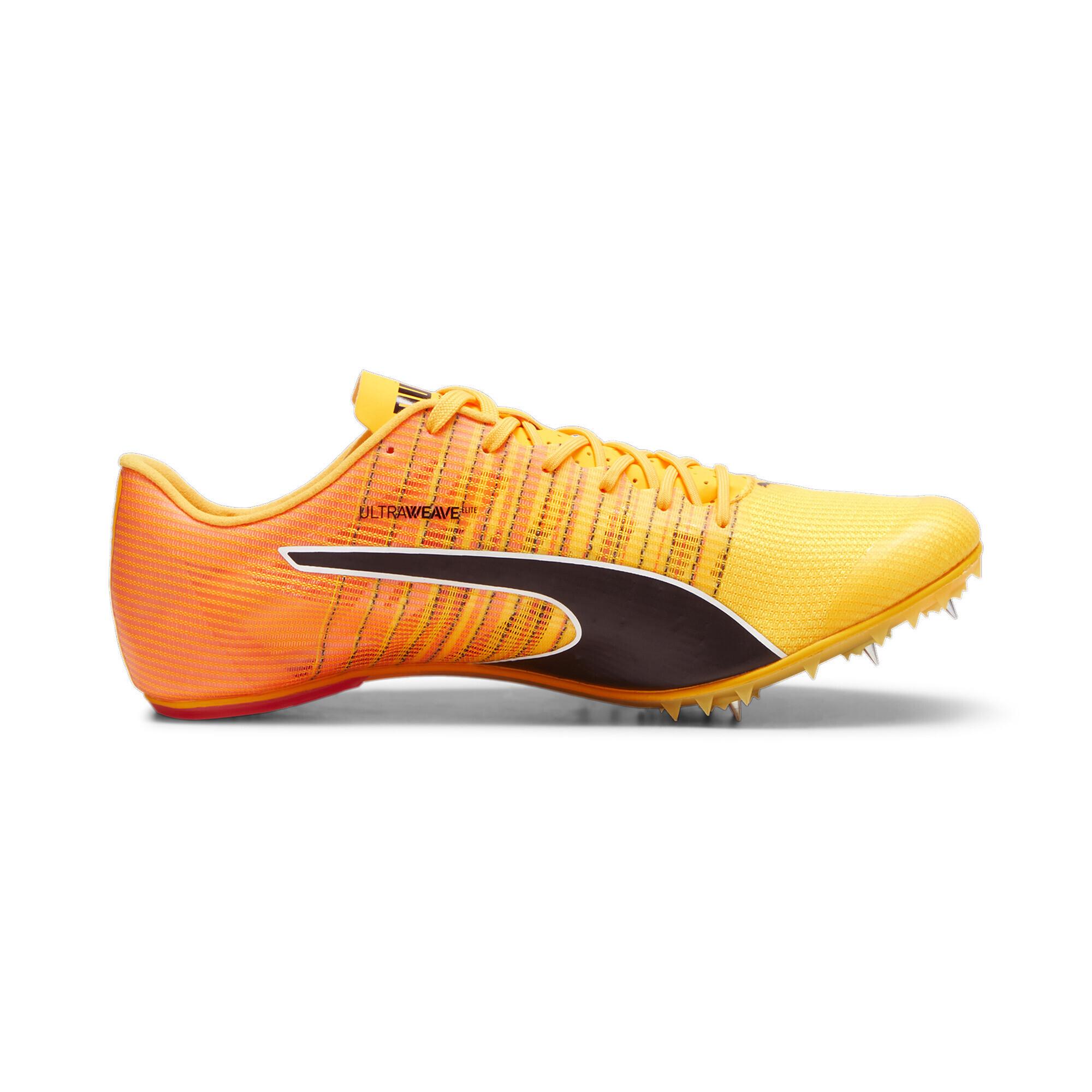 PUMA  chaussures d'athlétisme teamwear evospeed future 6 