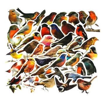 Pack de Stickers - Petits Oiseaux