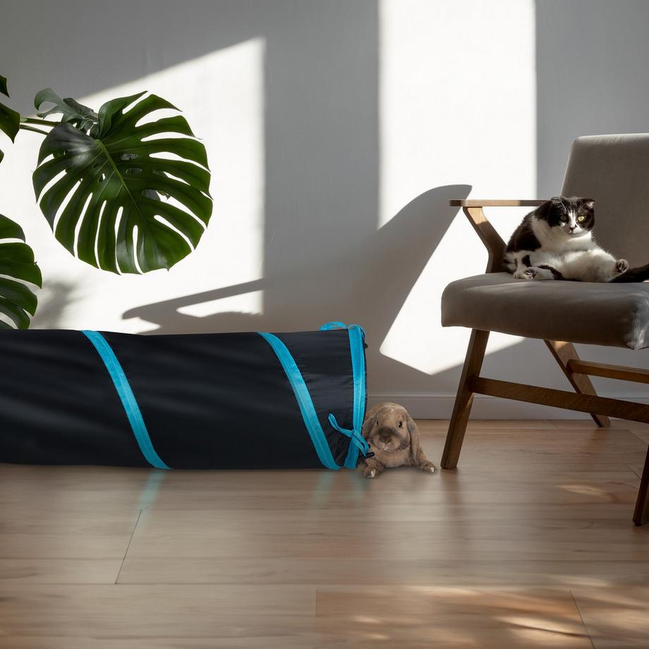 B2X  Tunnel pieghevole per gatti con giocattoli 