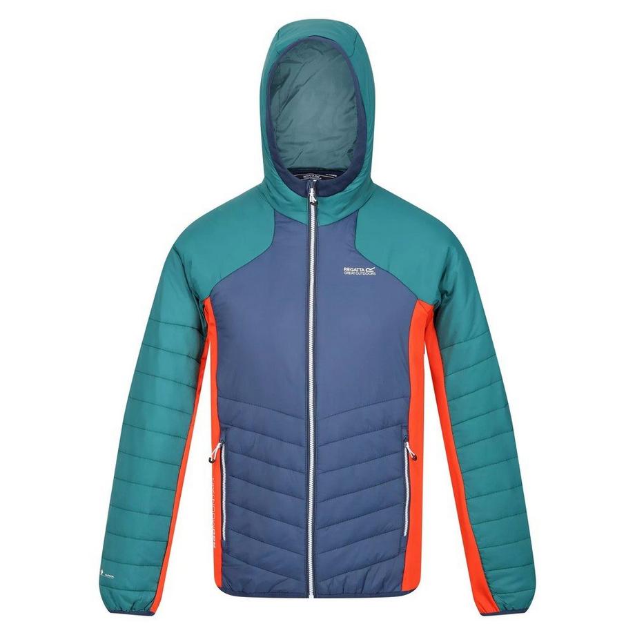 Veste softshell TRUTTON