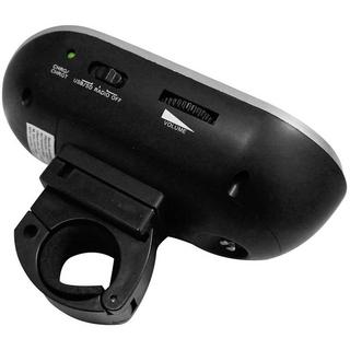 Security Plus  BR28 MP3/USB Radio per bicicletta Nero, Argento 