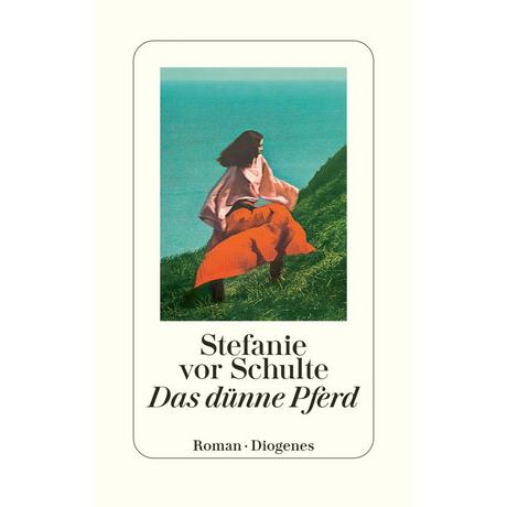 Das dünne Pferd vor Schulte, Stefanie Gebundene Ausgabe 