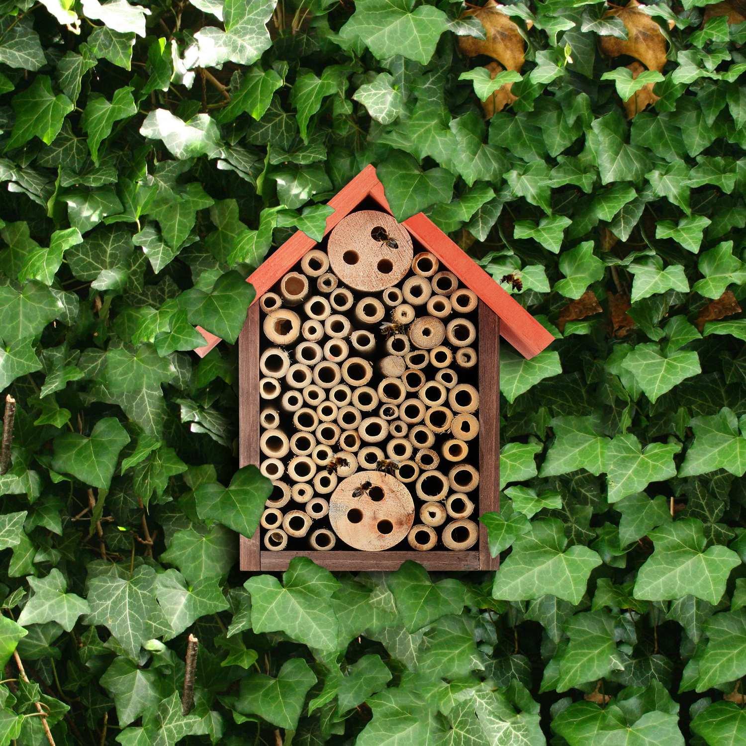 B2X Hôtel à insectes pour abeilles sauvages  