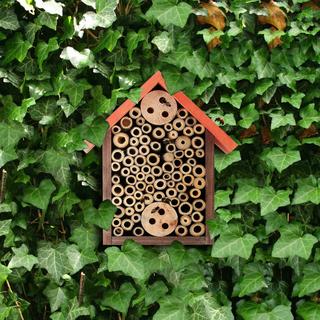 B2X Hôtel à insectes pour abeilles sauvages  