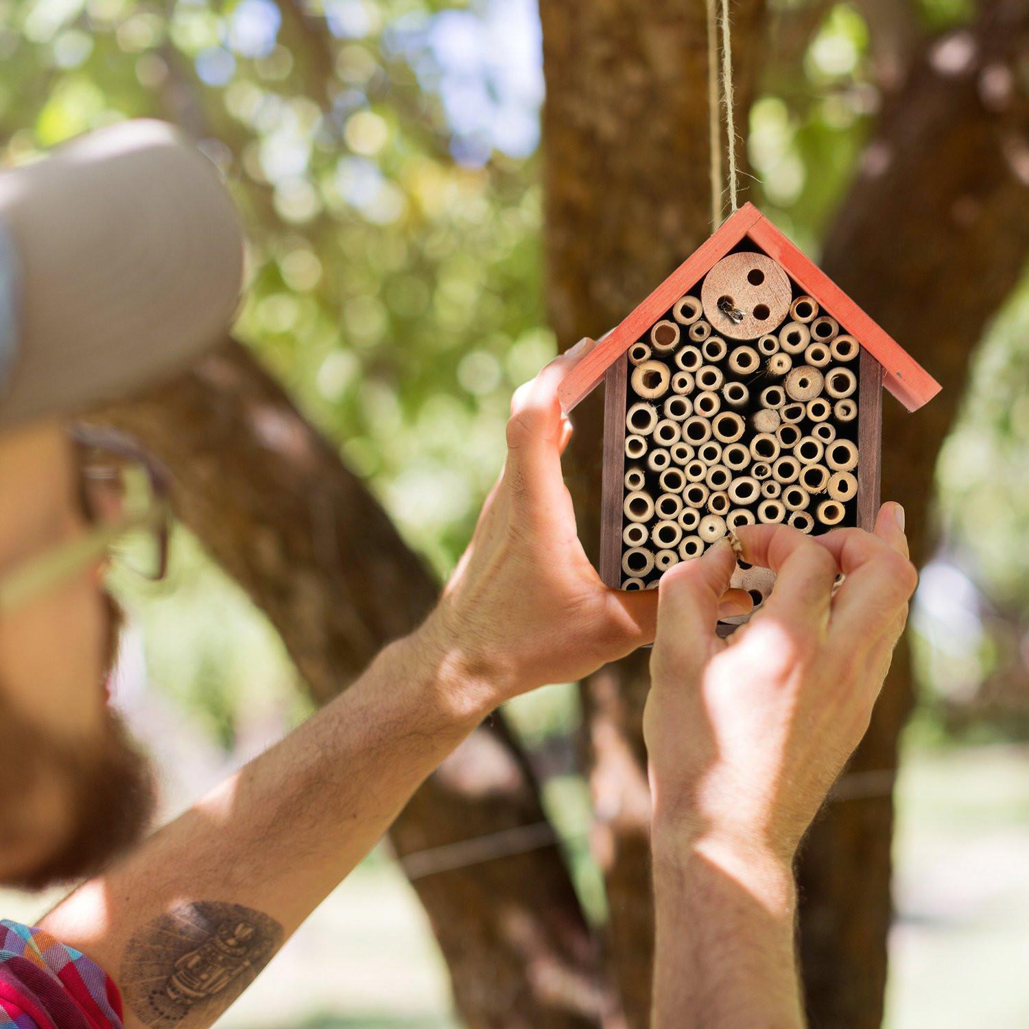 B2X Hôtel à insectes pour abeilles sauvages  