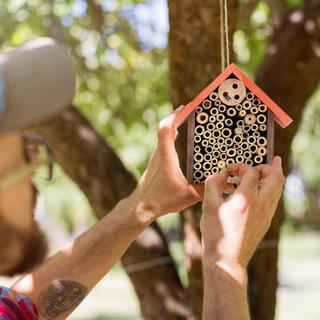 B2X Hôtel à insectes pour abeilles sauvages  