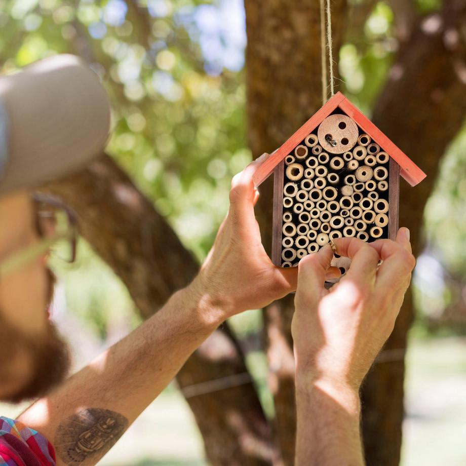 B2X Hotel per insetti per api selvatiche  