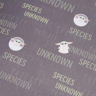 STAR WARS Cahier PRECIOUS CARGO  