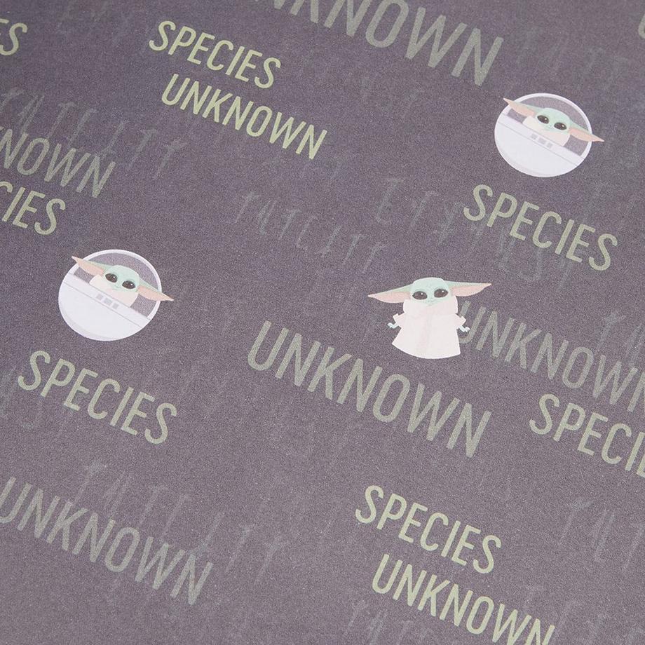 STAR WARS Notizbuch Precious Cargo, A5  