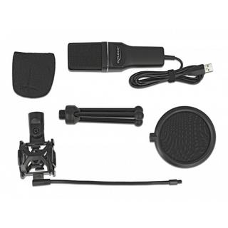 DeLock  DeLOCK USB Kondensator Mikrofon Set - für Podcasting, Gaming und Gesang 