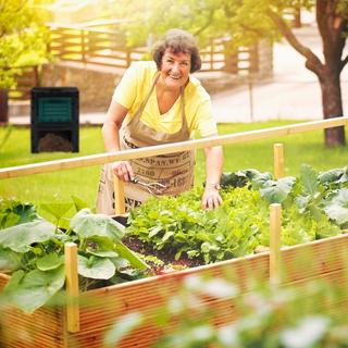 B2X Compost in plastica 230 l  