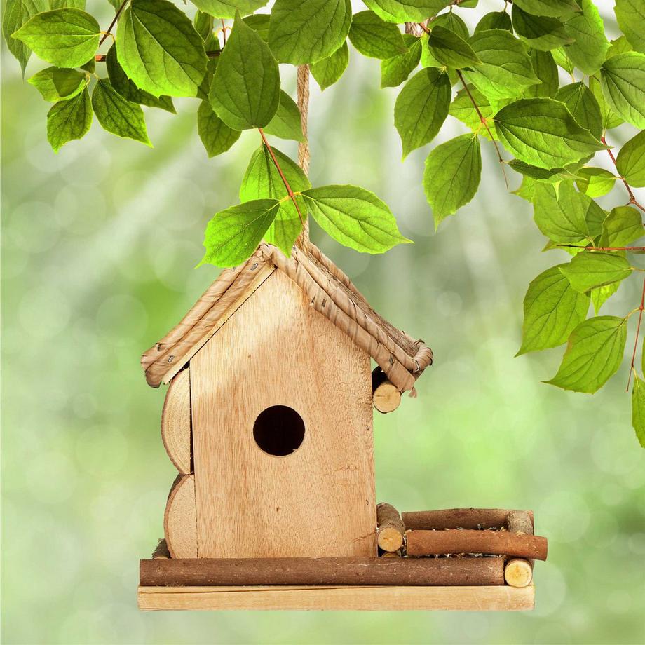 B2X  Dekoratives Vogelhaus mit Futterstelle 