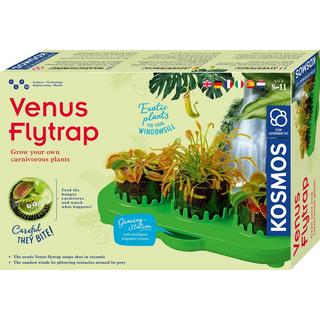 Kosmos  Kosmos Venus Flytrap 