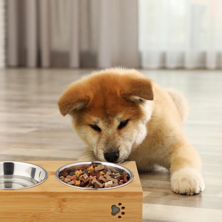 B2X  Futternäpfe für Hunde 