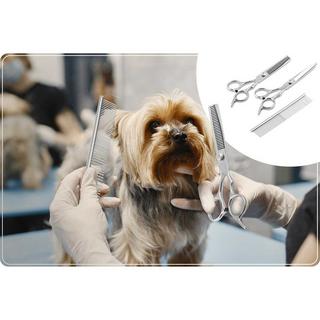 B2X  Pethaus PH-100 Tierschermaschine, rosa 