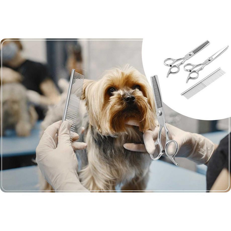 B2X  Tondeuse pour animaux Pethaus PH-100, rose 