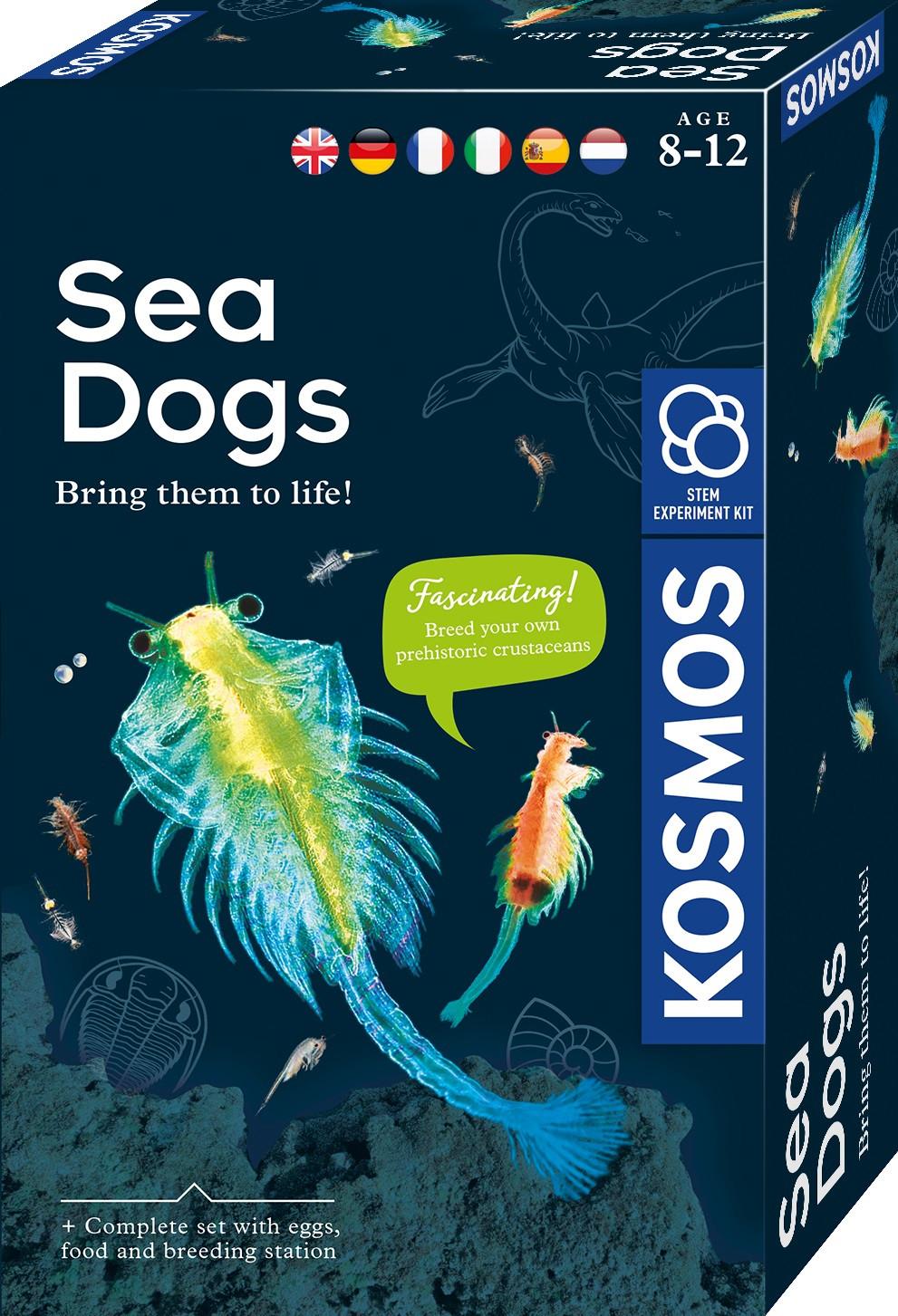 Image of Sea Dogs Multicolor