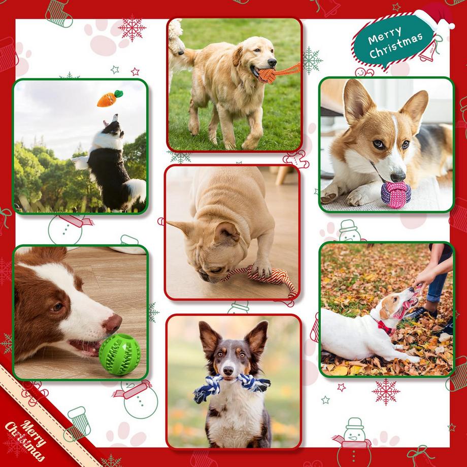 Activity-board  Jouets Pour Chiens, Jouets Pour Chiots 