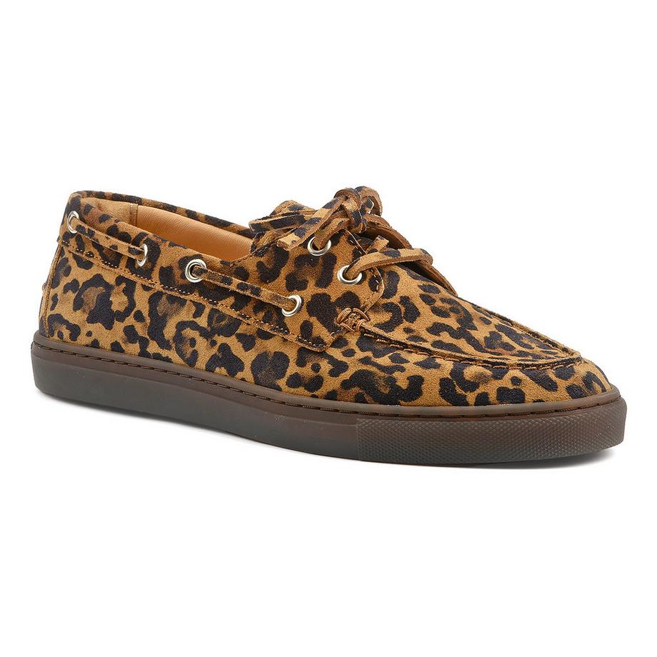 CPH160-41