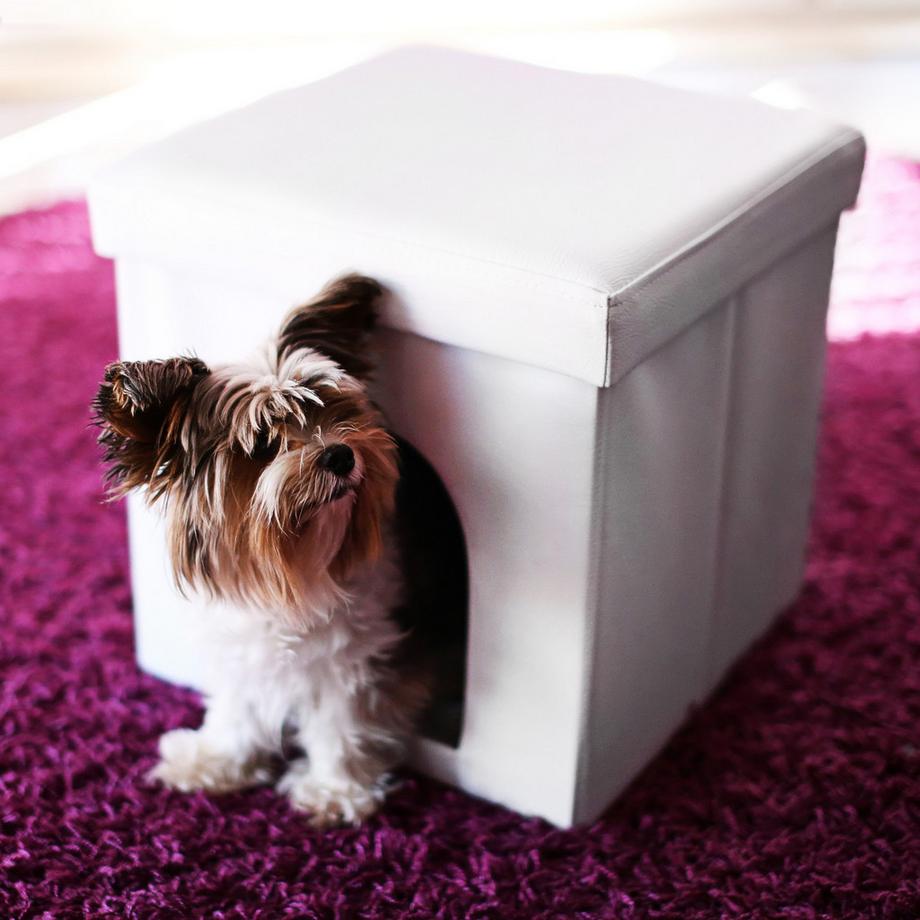 B2X  Hocker für Hundeboxen 