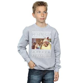 Friends  Holiday Armadillo Sweatshirt 