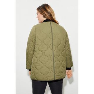 Dorothy Perkins Steppjacke ohne Kragen  