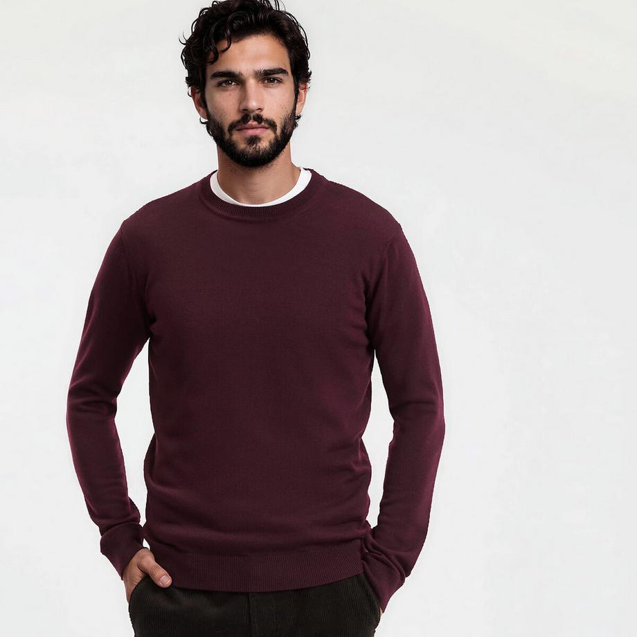Pull laine mérinos Signature