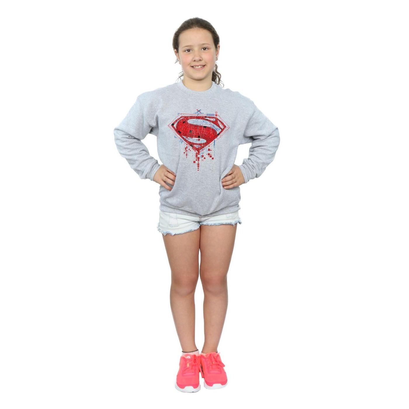 DC COMICS  Sweatshirt 