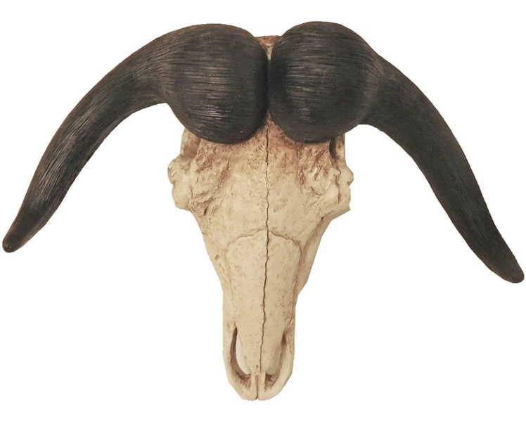 Image of Wanddekoration Geweih Büffel natur Wanddekoration Geweih Büffel natur