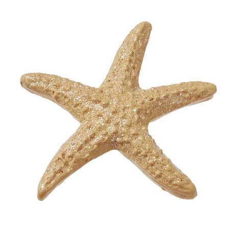 HOBBYFUN  HobbyFun Starfish – with glue dot 