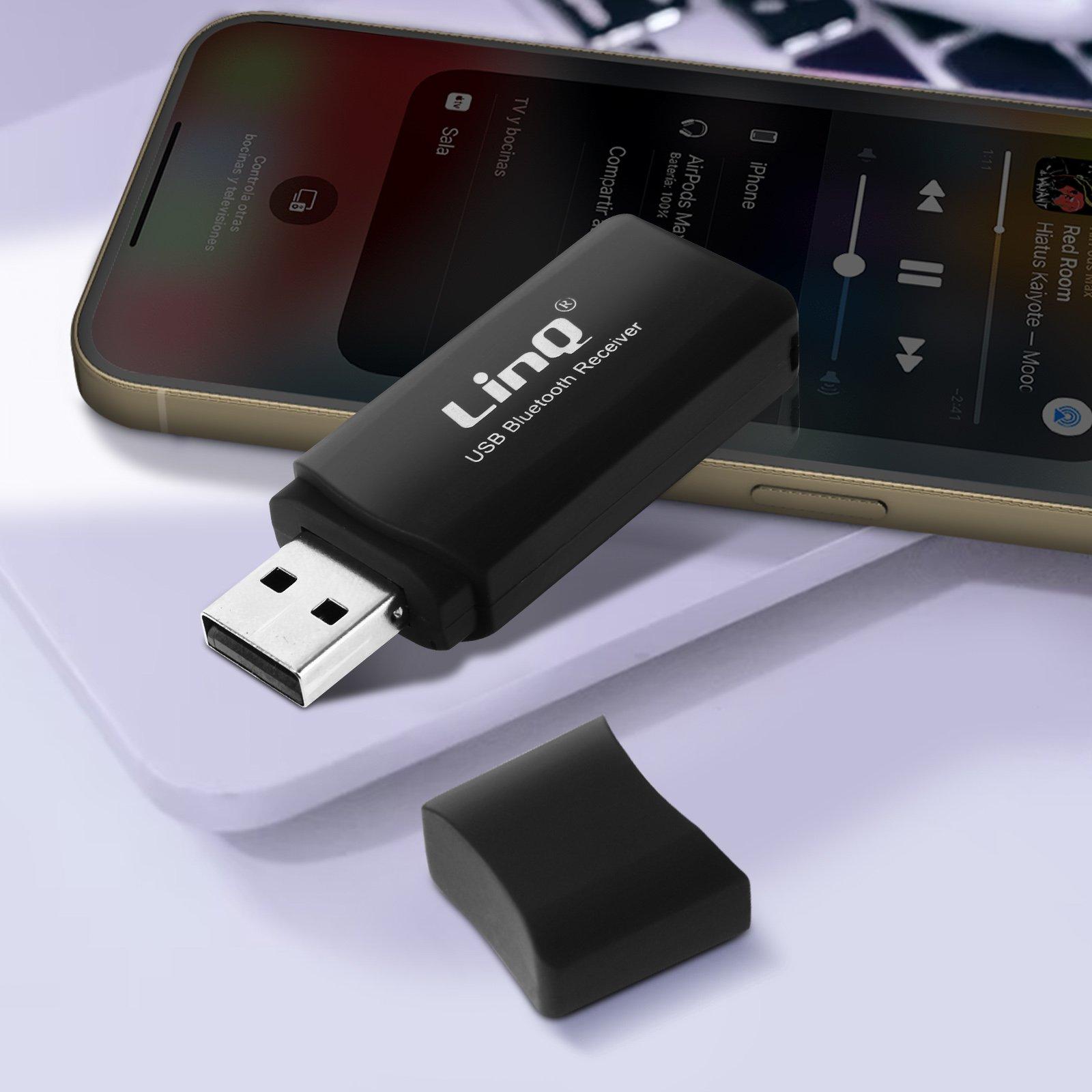 Avizar  Ricevitore audio USB + uscita jack LinQ 