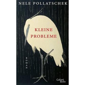 Kleine Probleme