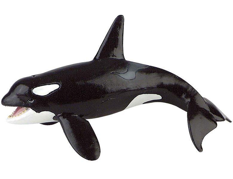 Image of Animal World Schwertwal