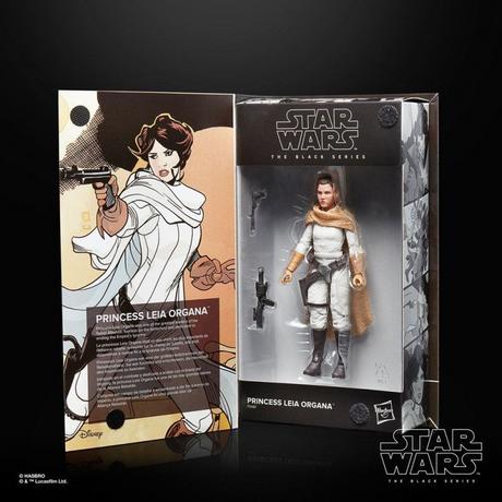 Hasbro  Gelenkfigur - The Black Series - Star Wars - Prinzessin Leia 