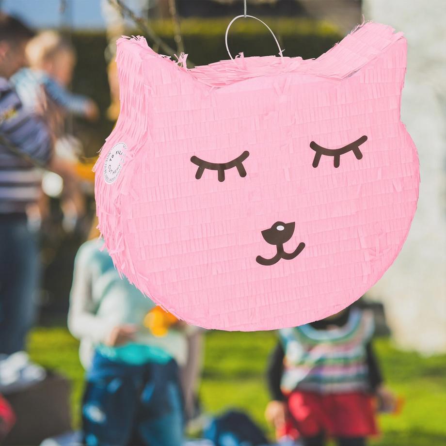 Northio  Pinata chat avec sucette et ver 